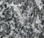 Eastern Gray