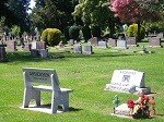 Traditional Plots